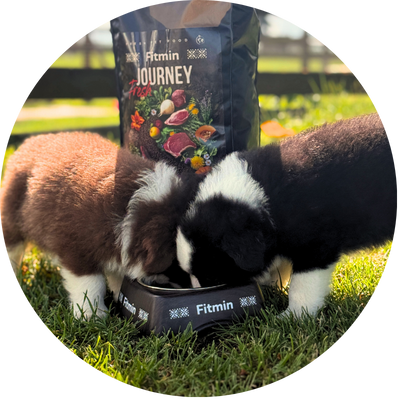 Maximální čerstvost - Fresh Journey